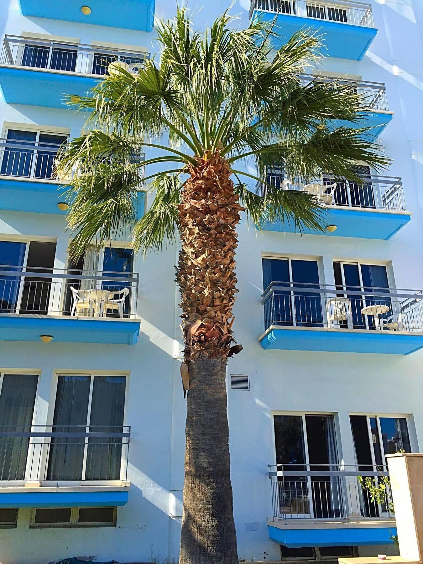 Blue Crane Hotel Apts Limassol Kültér fotó